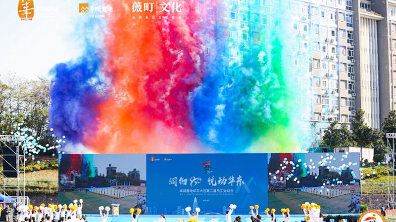 品牌设计代理报价明细：揭秘企业品牌形象塑造的幕后成本